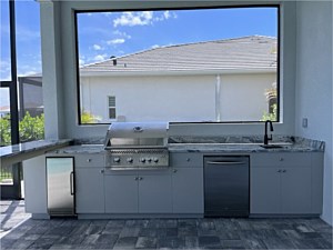 Dolphin Gray
